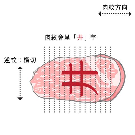 順紋逆紋怎麼看